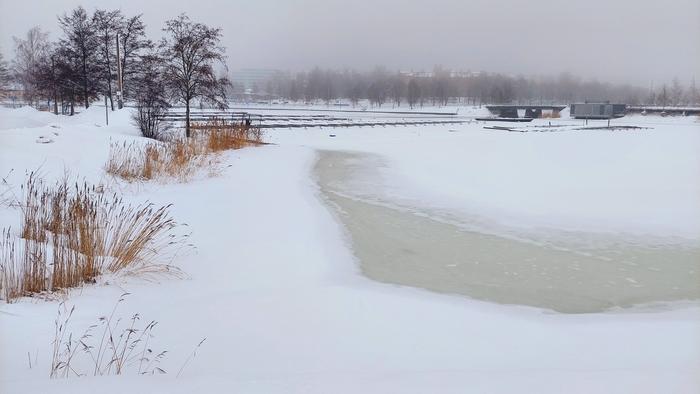 Helmikuun harmautta Vaasassa.