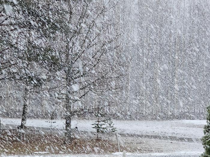 Suomen kevätsää vaihtelee tyypillisesti takatalvien ja lämpimämpien päivien välillä.