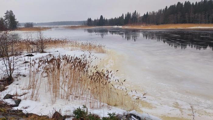 Helmikuun lopun maisemaa Vaasassa Helmikuun lopun harmautta Vaasassa.