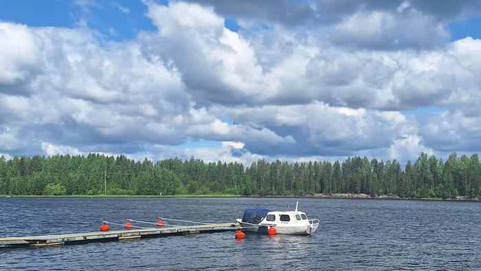 Kesäkuinen päivä Kesäkuinen päivä Vaalassa.