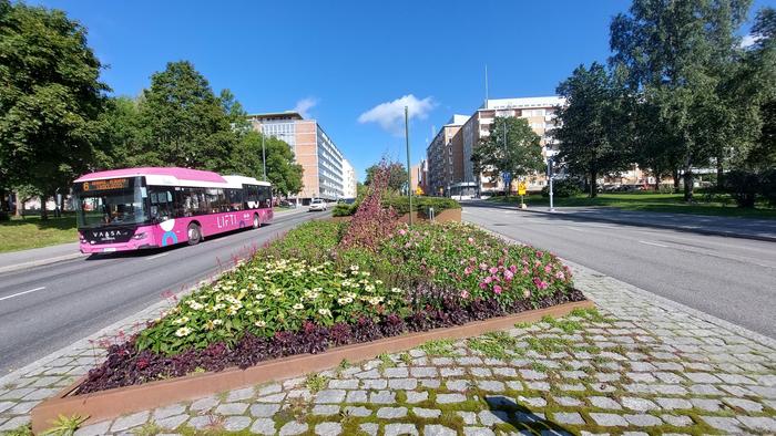 Elokuu Aurinkoinen elokuun päivä Vaasassa.