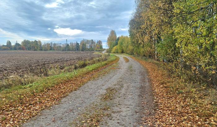 Lokakuu etenee kuukausiennusteen mukaan vähitellen viilenevässä säässä.