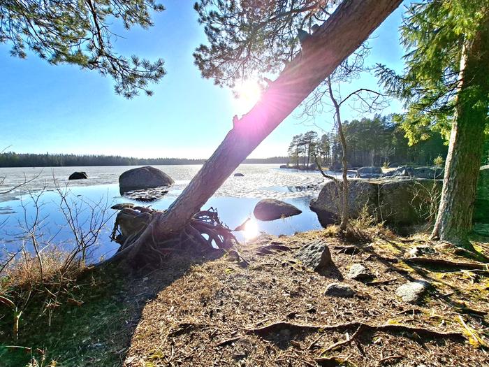 Maaliskuun aurinkoa.