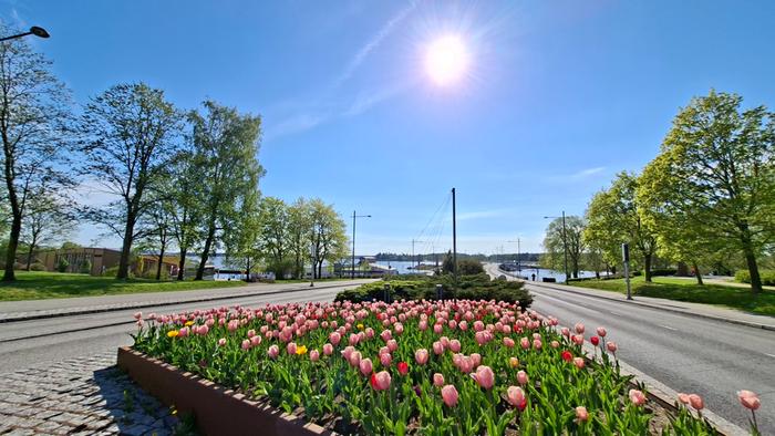 Kevätaurinko Vaasassa Kesäinen viikonloppu edessä, mutta sitten lämpötila romahtaa.