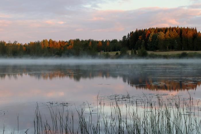 Kylmien öiden päätteeksi lämpimien vesistöjen yllä voi syntyä näyttäviä sumuja.