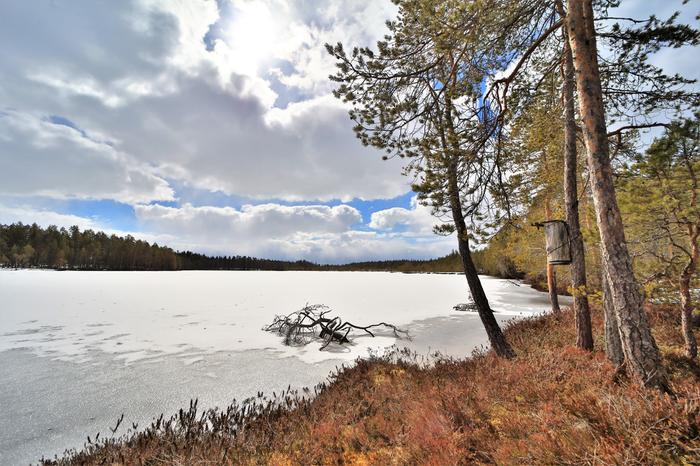 Viileää kevätsäätä ja jäitä Vaalassa.