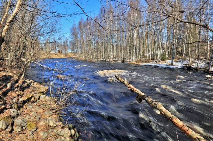 Kevään kohinaa Vaalassa.