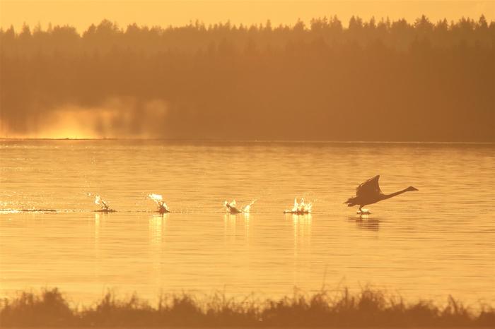 Aurinkoa sateen jälkeen.
