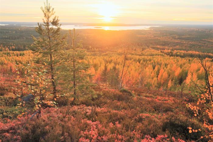 Ruskan värejä Paltamossa Kainuussa.