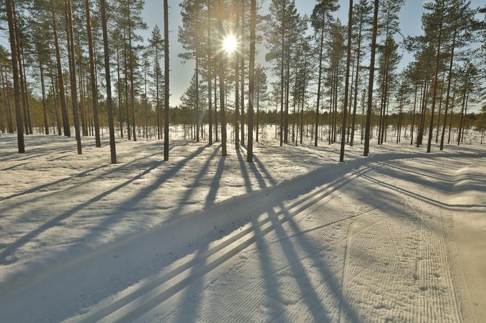 Hiihtolatu metsässä kevättalven auringossa.
