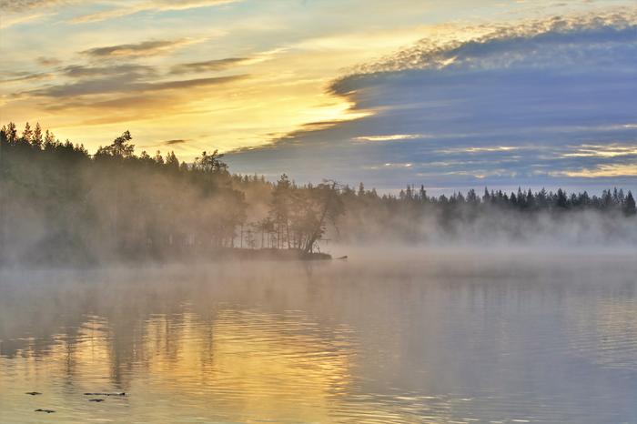 Kesäkuun varhaisen aamun sumua Vaalassa.