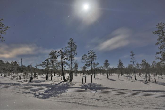 Sää näyttää lähiviikkoina tavanomaista kylmemmältä ja kuivemmalta, joten tähtitaivaan katselulle ja revontulien bongaukselle edellytykset ovat nyt hyvät.