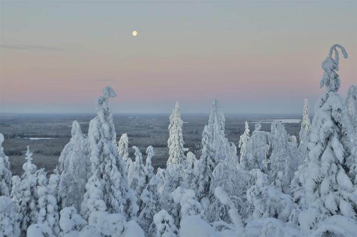 Talvinen kaamosmaisema