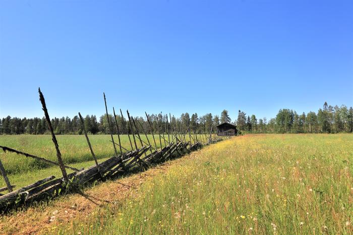 Kuuma helle on tuonut kesäkuun lopussa 30 asteen lämpötiloja.