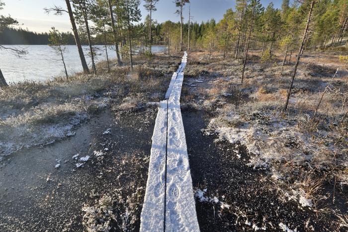 Lunta ja pikkupakkasta Aurinkoista, pikkupakkasta ja vähän lunta Vaalassa.