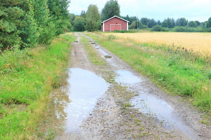 Vesilammikkoja Vaalassa.