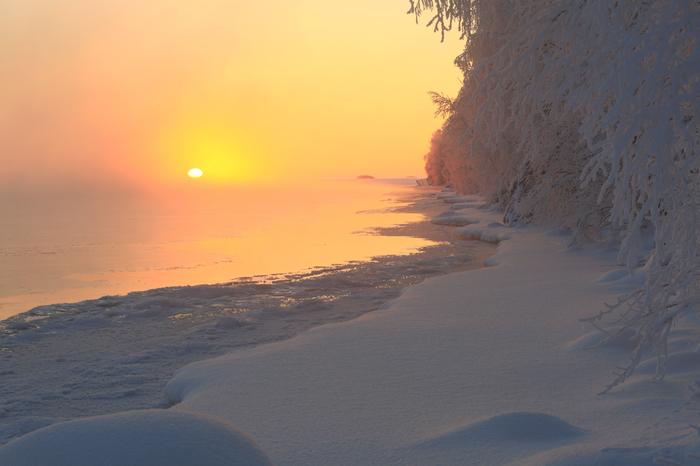 Pakkasta ja sumua Aurinko kuultaa sumun läpi kireässä pakkassäässä.