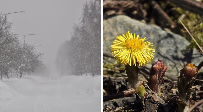 Lumipyryä ja kevättä.