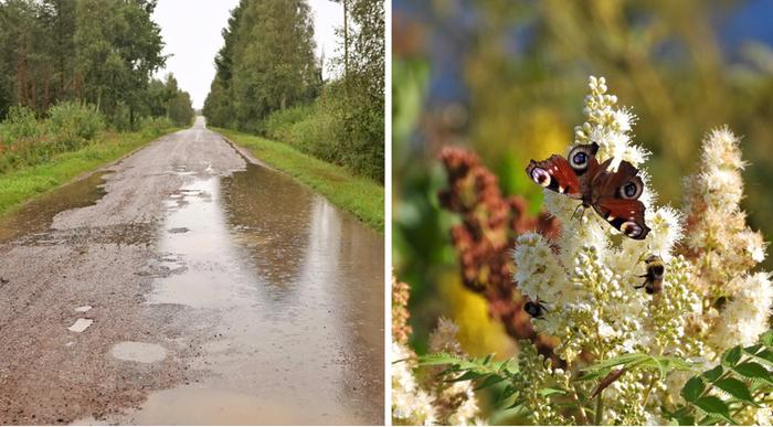 Sadetta ja paistetta Elokuista sadetta ja paistetta.