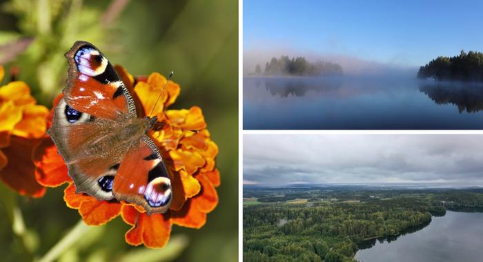 Loppukesä Aurinkoa, sumuja ja sateita.
