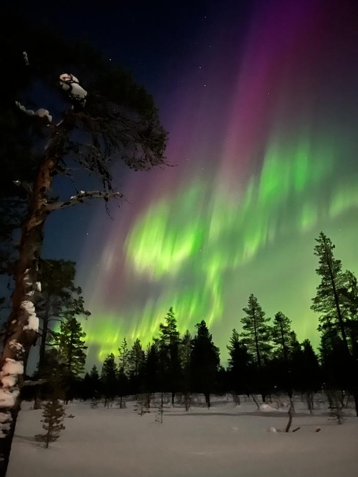 Revontulet Saariselällä.