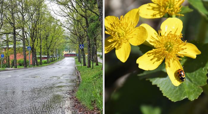 Viileää ja lämmintä toukokuun säätä.