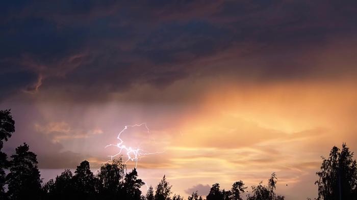 Salama Salamointia Lempäälässä kesäkuussa 2019.