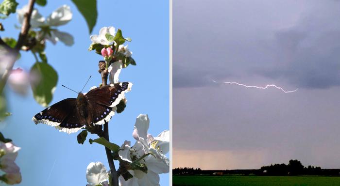 Toukokuun aurinkoa ja salamointia.