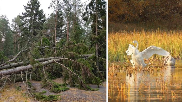 Aila-myrsky kaatoi puita ja katkoi sähköjä. Syyskuun lopussa puolestaan oli lämmintä ja aurinkoista.