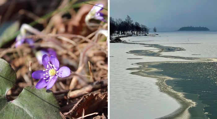 Keväistä lämpöä ja kylmempää säätä.