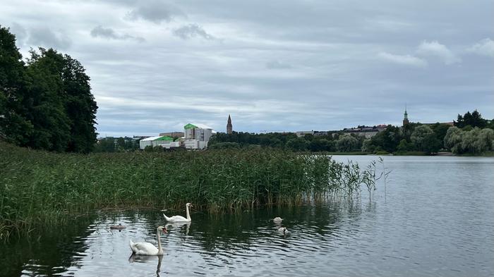 Sää on muuttunut pilviseksi ja koleaksi.