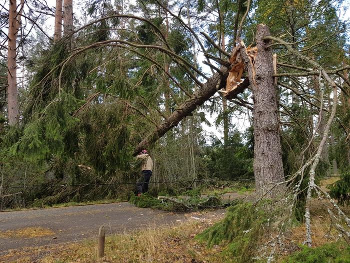 Aila-myrsky Aila-myrsky teki tuhoja Eurajoella.