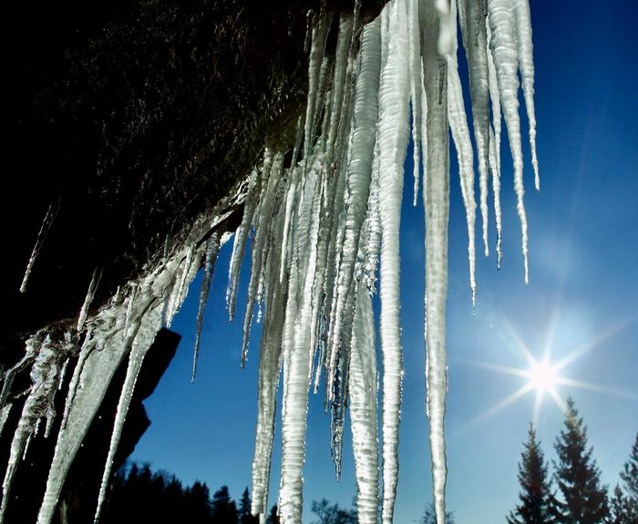 Jääpuikot kimaltavat lähestyvän kevään auringossa.