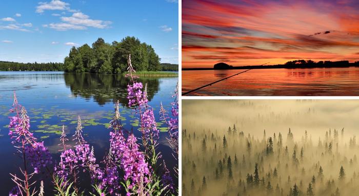 Kesä 2020 Kesä 2020