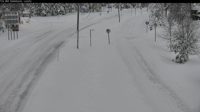 Luminen maa Luostolla lokakuussa