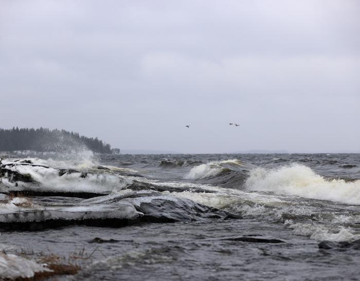 Aaltoja Toini-talvimyrskyn aikana Näsijärvellä Tampereella.