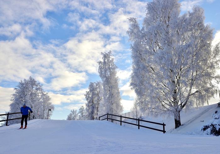Komeaa ulkoilusäätä Ylöjärvellä helmikuussa 2021.