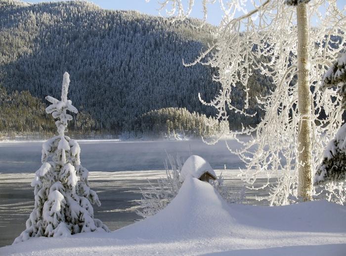 Kanada pakkanen Pakkanen