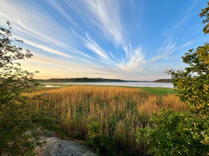 Cirrus-pilviä taivaalla.