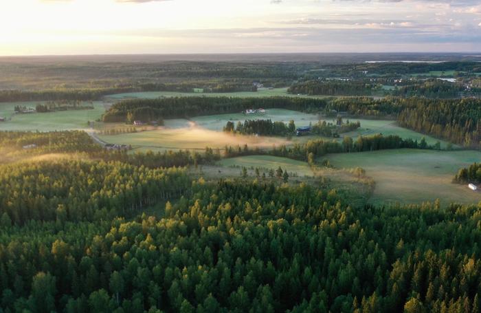 Kosteus ja selkenevä taivas loppukesän iltana ovat otolliset suhteet aamusumuille.
