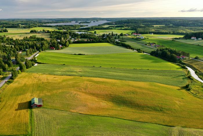 Elokuu Hämeenkyrössä Kesämaisemaa Hämeenkyrössä elokuussa 2020.