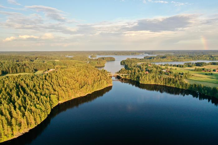 Elokuu Elokuussa sateen jälkeen.