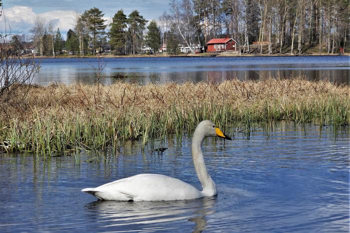 Jyväskylässä on keväistä.