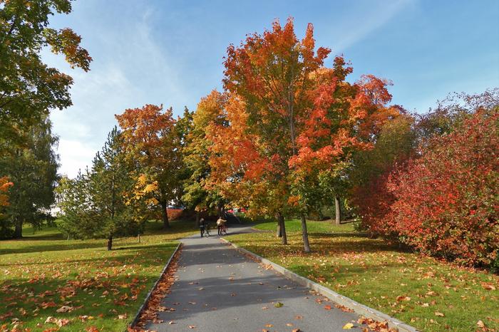 Ruskaloistoa Keski-Suomessa.