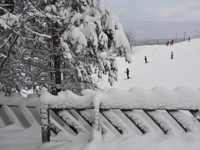 Laskettelijoita Himoksella.