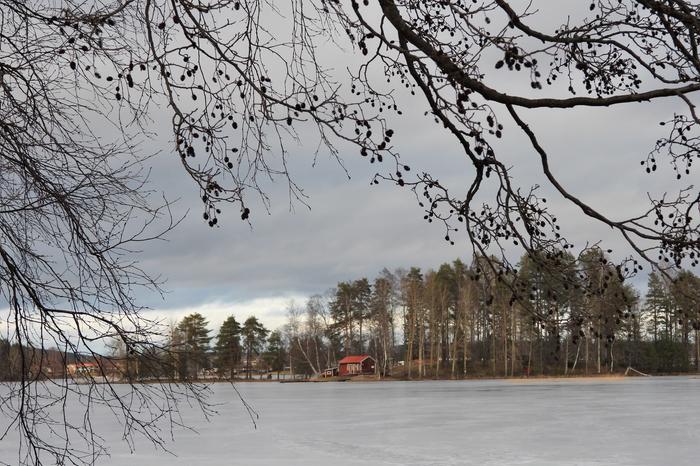 Lauha talvipäivä Jyväskylässä helmikuussa 2020, jääpeite näyttää sohjoiselta