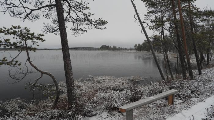 Ohutta marraskuun jäätä Säynäjäjärvellä Säynäjäsuon soidensuojelualueella.