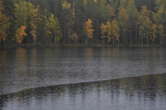 Vesisadetta järvellä.