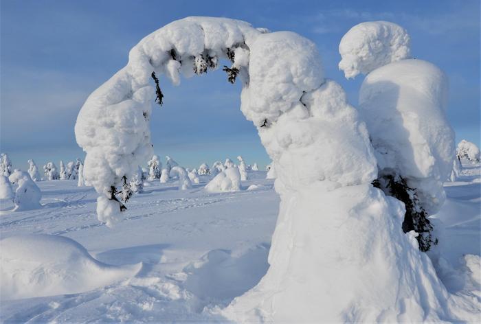 Lunta Riisitunturilla helmikuussa 2020.