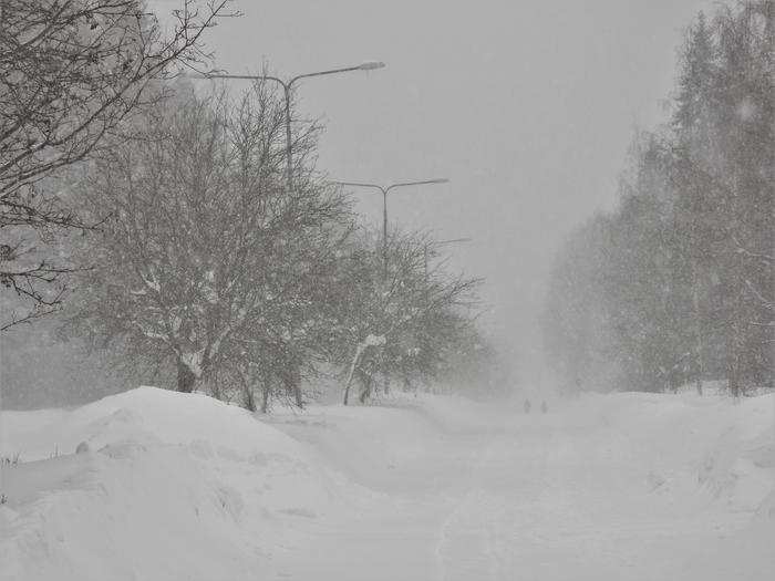 Lumisadetta ja korkeita kinoksia Jyväskylässä.